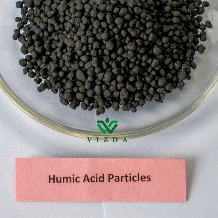 Agriculture Humic Acid Particles Fertilizer