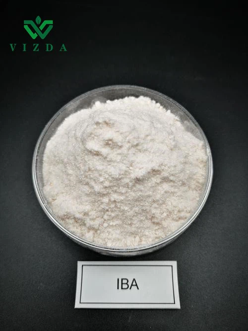 IBA Indole-3-Butyric Acid
