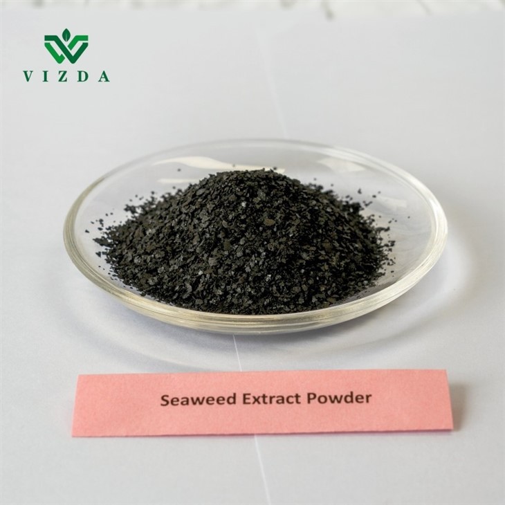 Marine Plant Nutrients Seaweed Extract