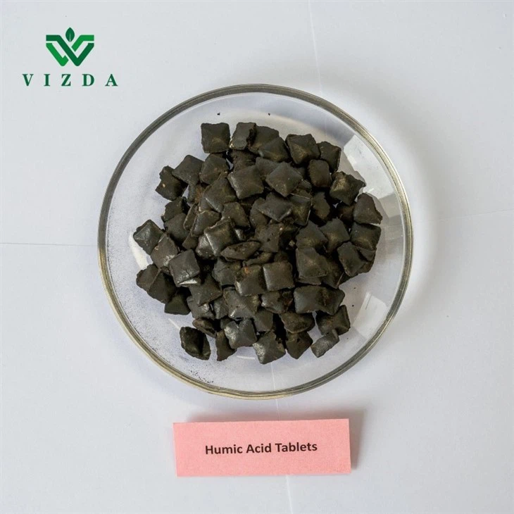 Organic Humic Acid Tablet