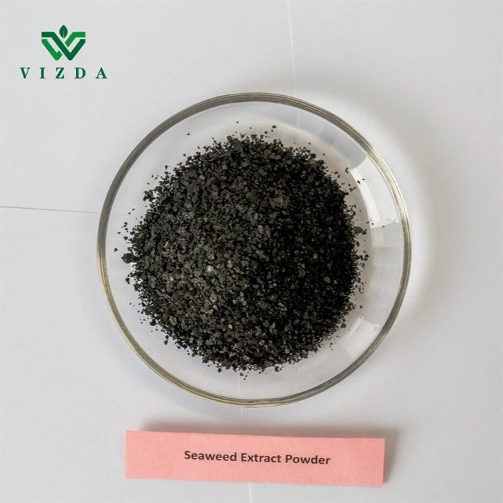 Soluble Seaweed Extract Fertilizer
